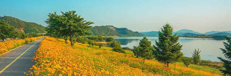 금남오이꽃동산마을 사진 8