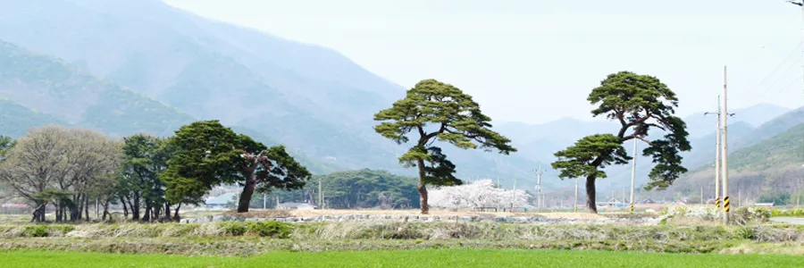 옥산마을