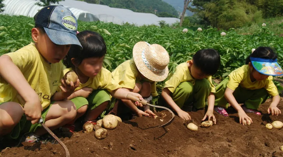 창지봉산마을