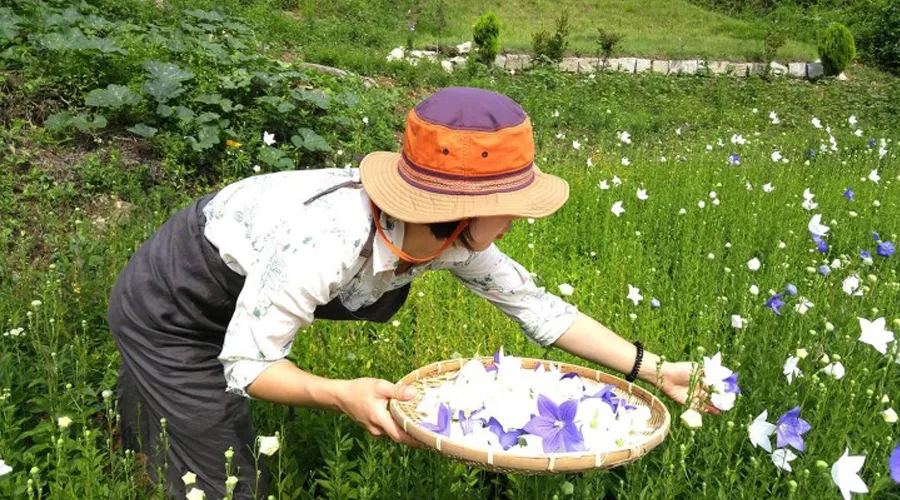 청도성수월마을