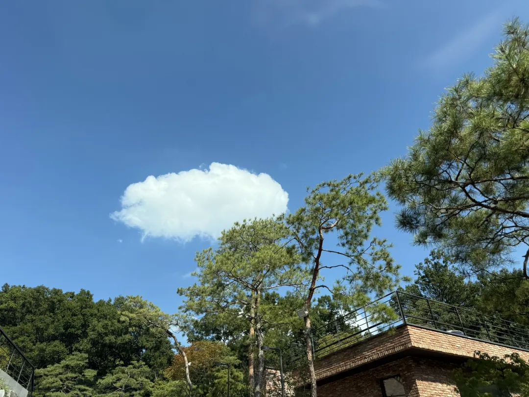 냅인더선샤인 사진 35