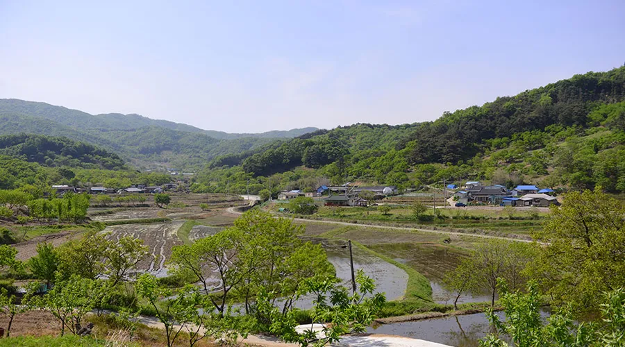 꽃내미풀꽃이랑마을 사진 7