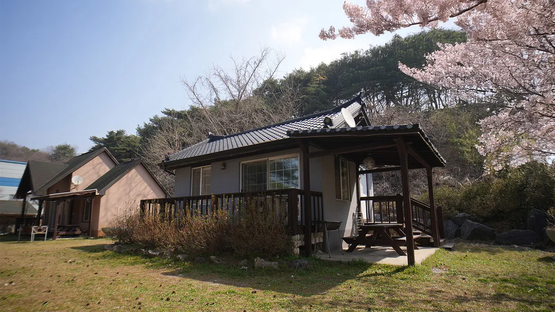 바둑골마을 사진 7