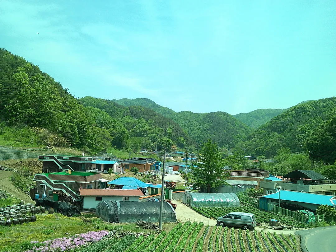 사자산농촌체험휴양마을 사진 6