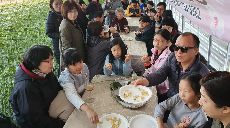조팝꽃피는마을