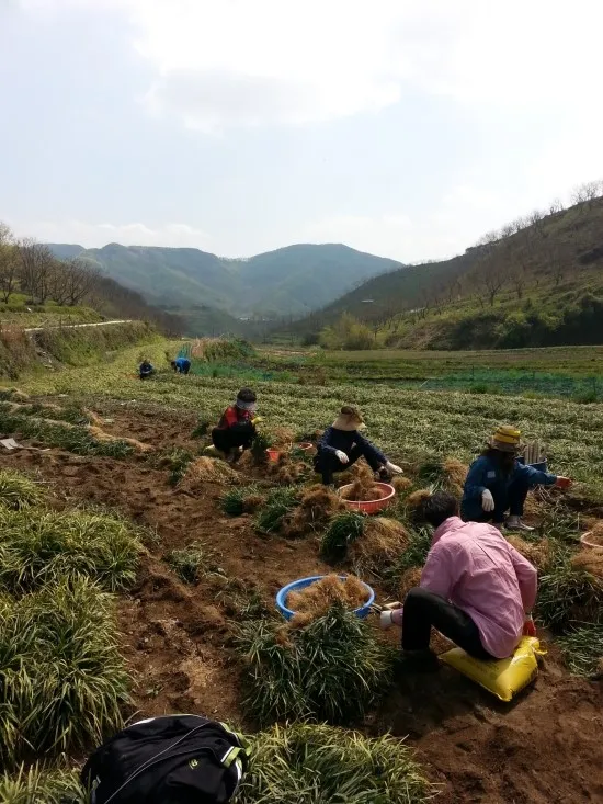 백제인동마을