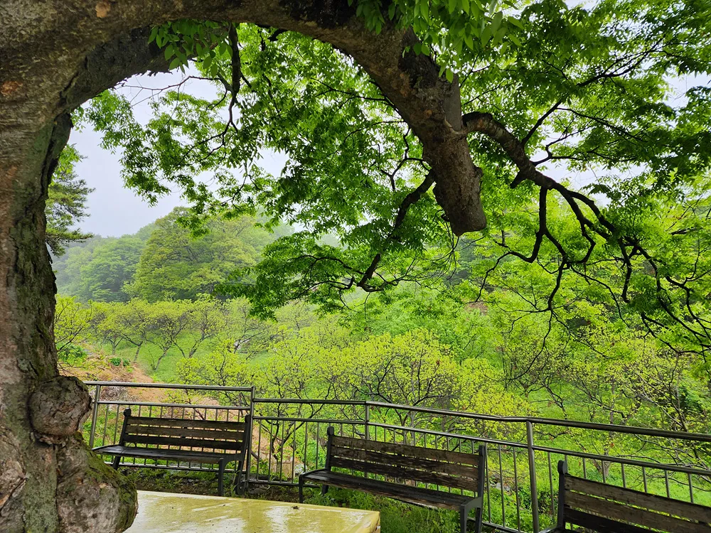 고인돌마을
