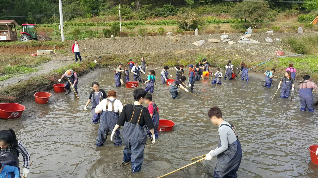 매화둠벙마을