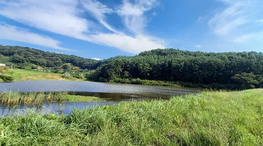 느리실마을 사진 8
