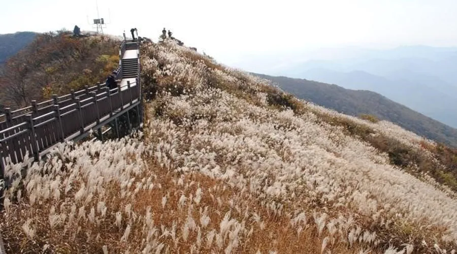 오서산상담마을 사진 11