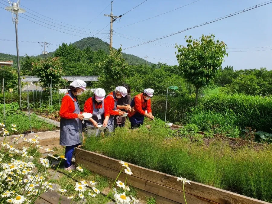 오서산상담마을 사진 6