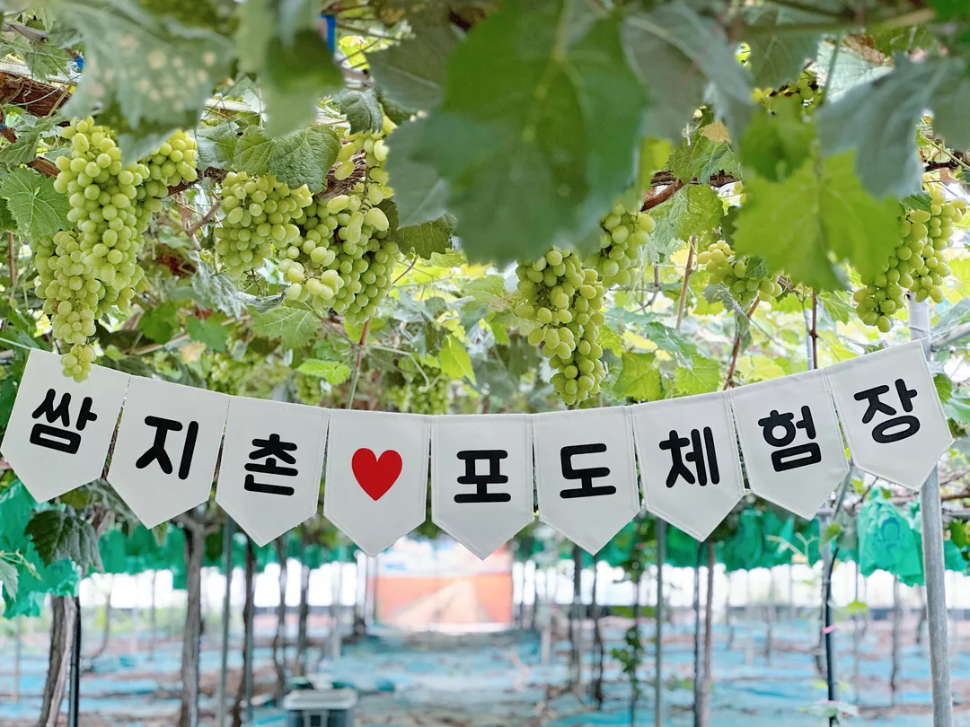 신현마을 사진 9