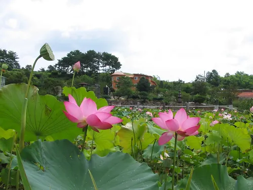 이색체험마을