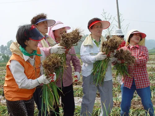볏가리마을 사진 9