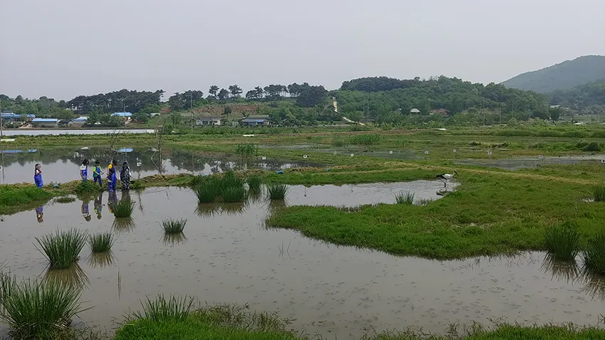 황새권역마을 사진 8