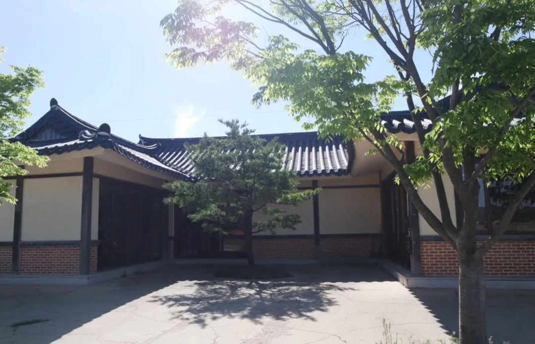 고살메갈꽃체험마을