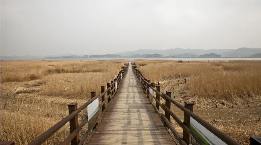 갈숲마을