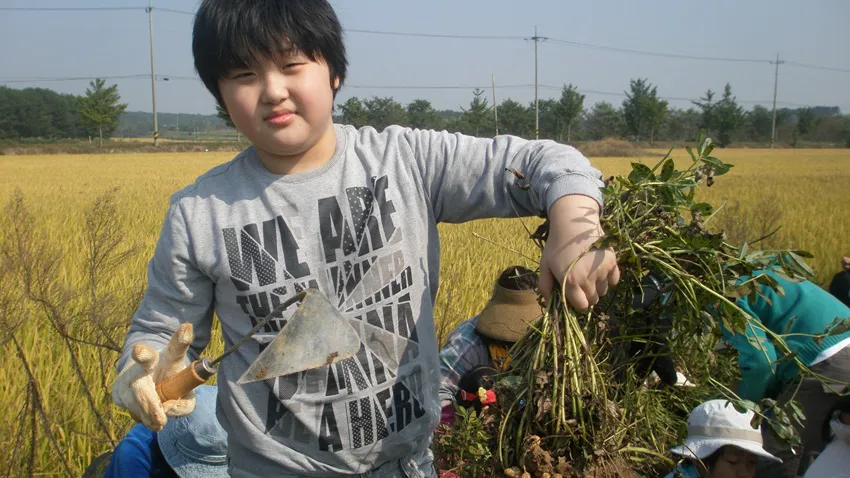 동백꽃마을