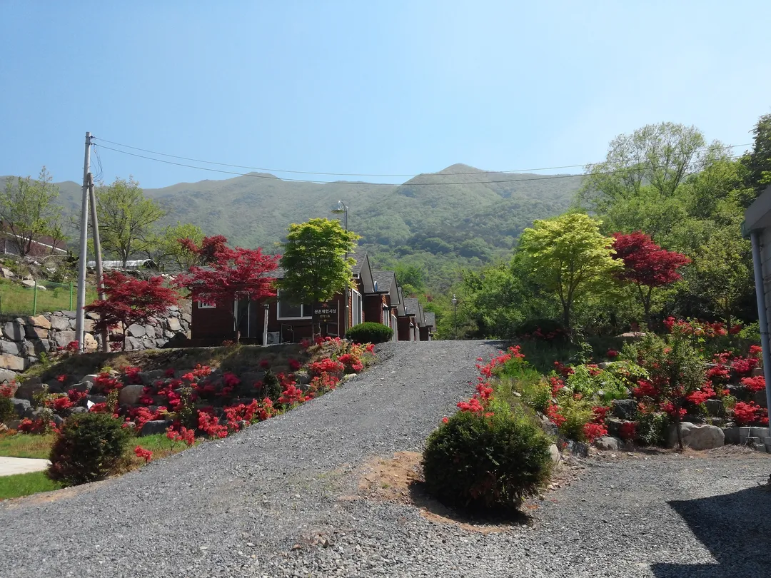 오서산산촌생태마을