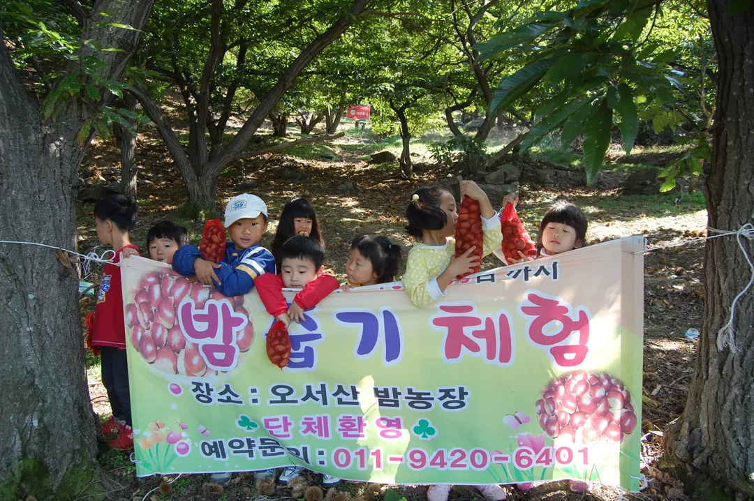 오서산산촌생태마을