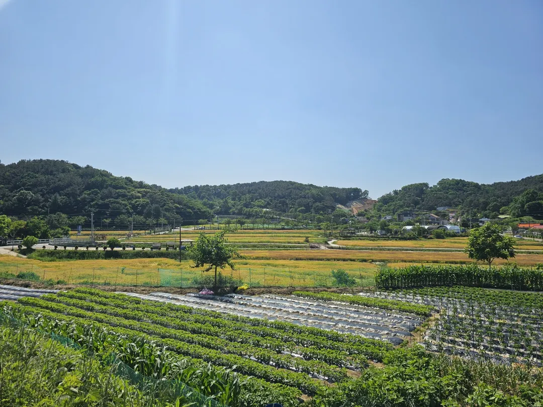 장동계족산농촌체험휴양마을