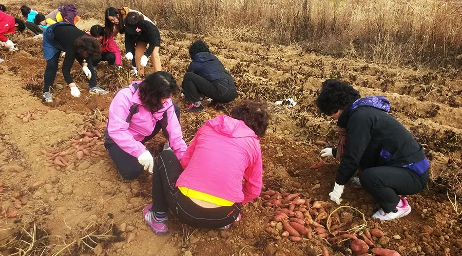 달빛동화마을 사진 9