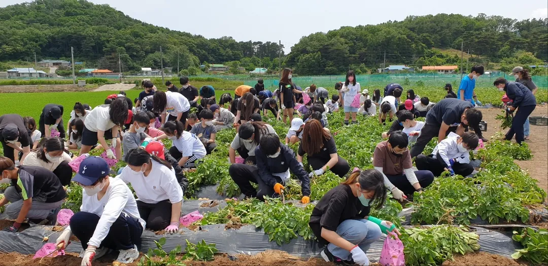 화문석마을