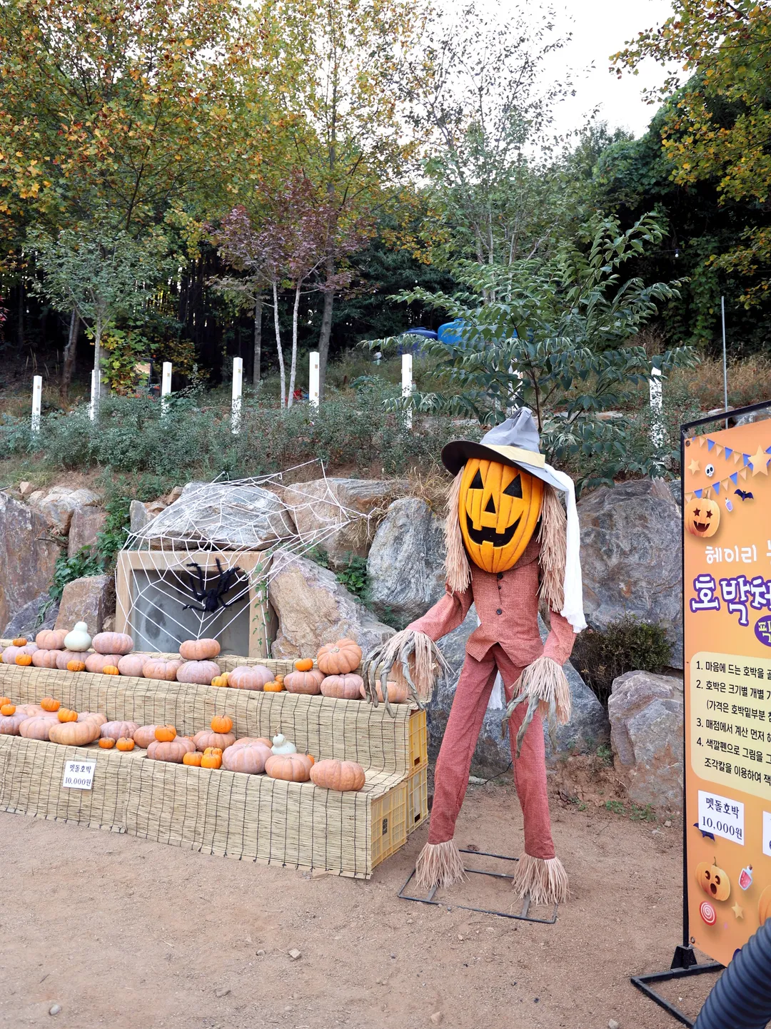 헤이리농원 사진 7