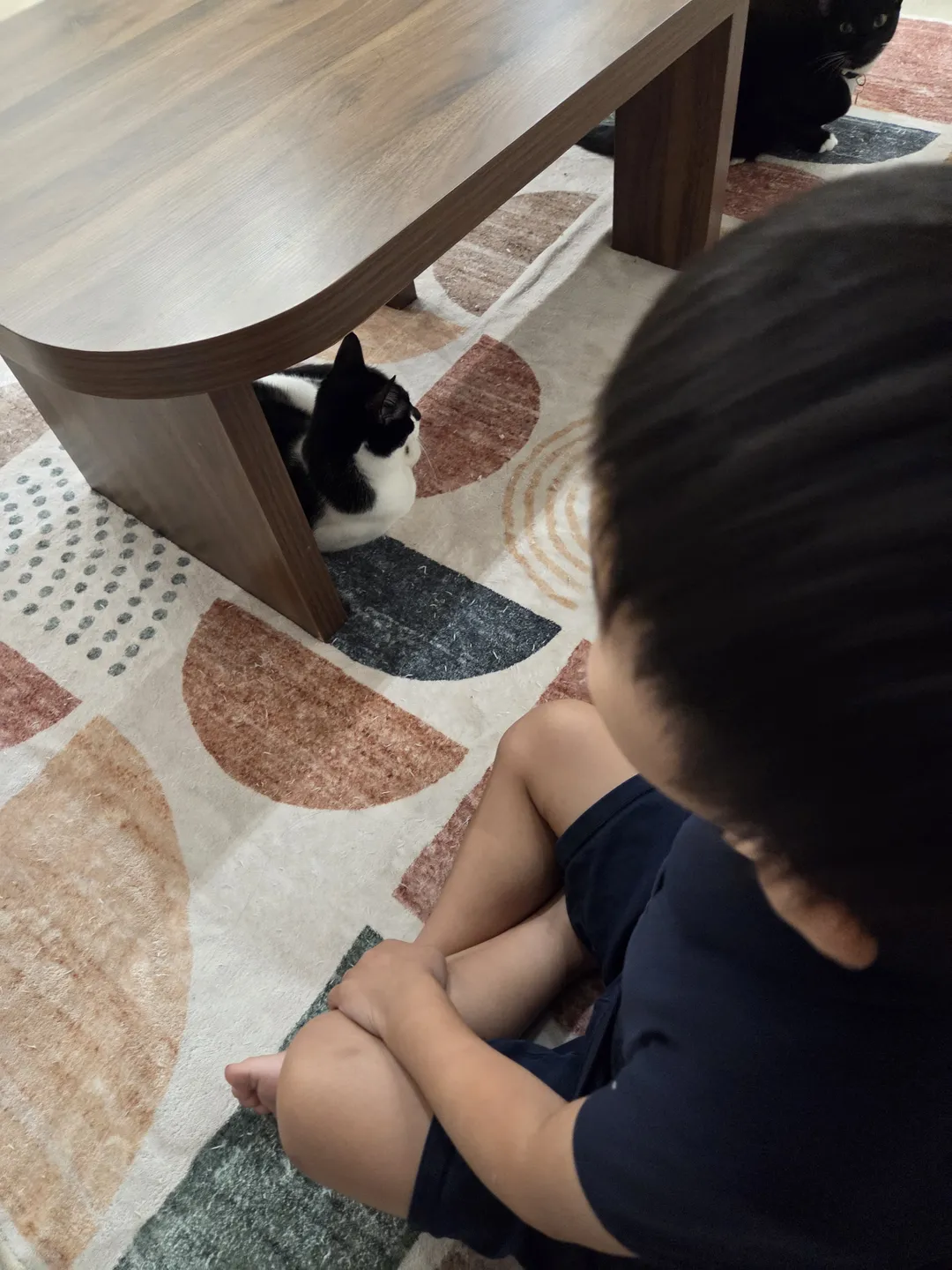 Fluffy Tail Cafe 사진 8