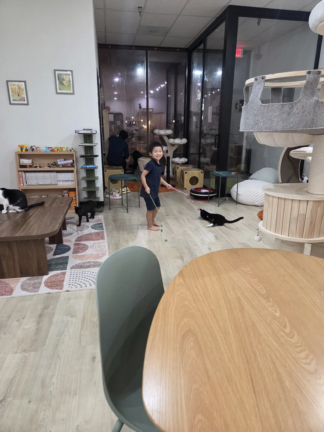 Fluffy Tail Cafe 사진 6
