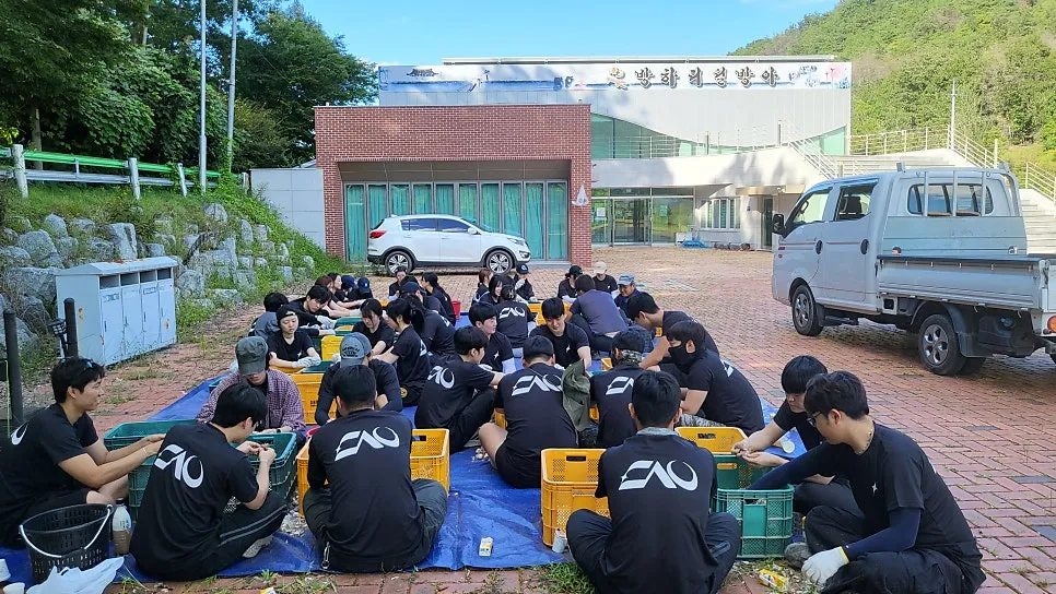 방하디딜방아