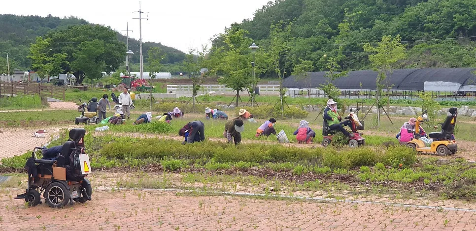 방하디딜방아 사진 7