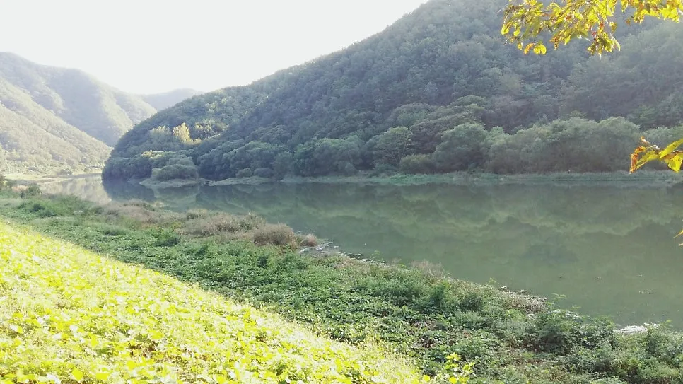 감동마을