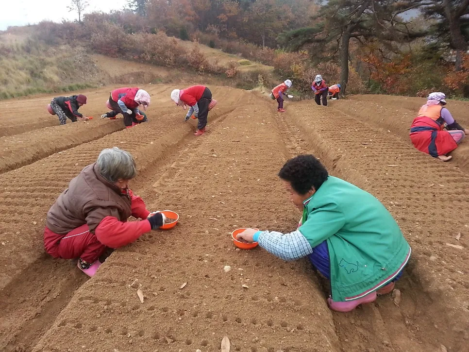 감동마을