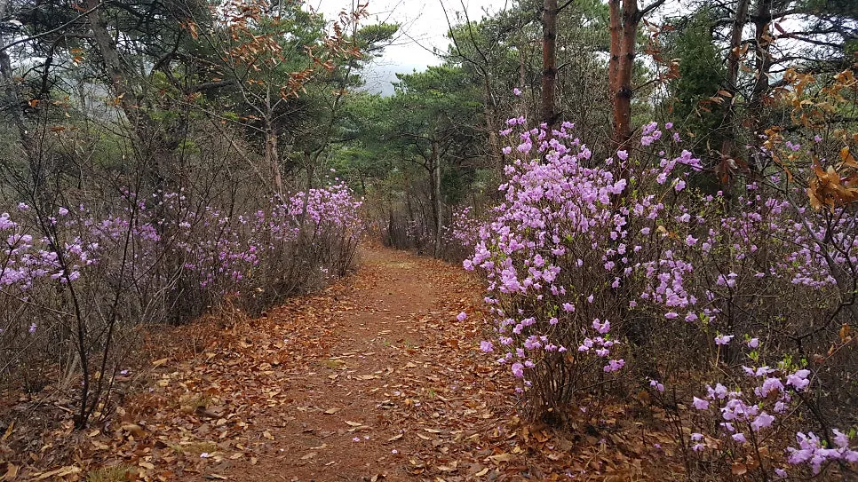 머드농수산체험마을 사진 6