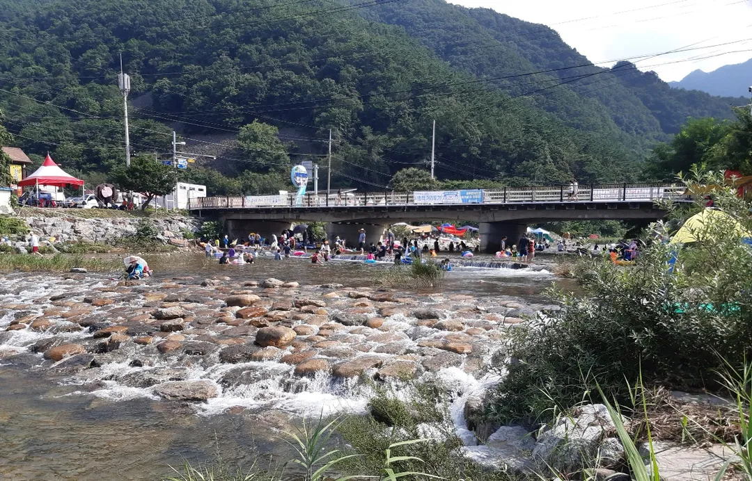 미선나무농촌체험휴양마을 사진 7