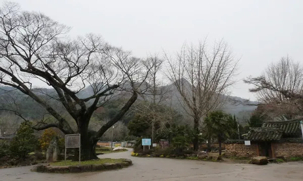 달마지마을 사진 6