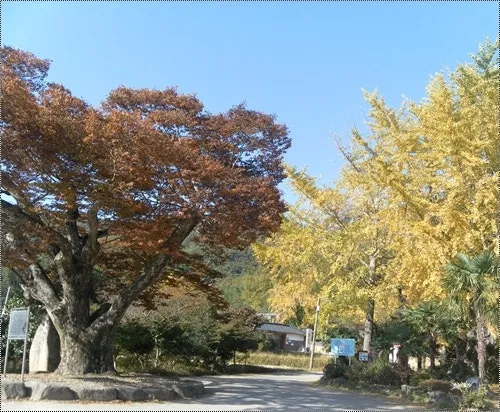 달마지마을 사진 7