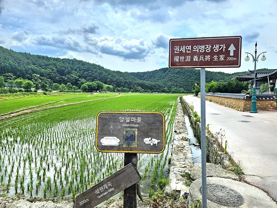 닭실마을 사진 8