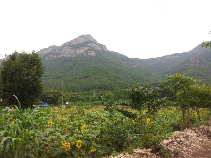 햇빛촌바랑산마을