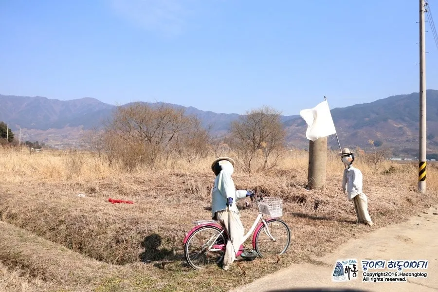 평사드레 사진 7