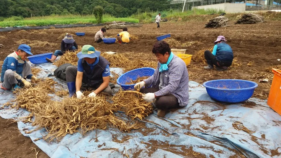 수리봉마을