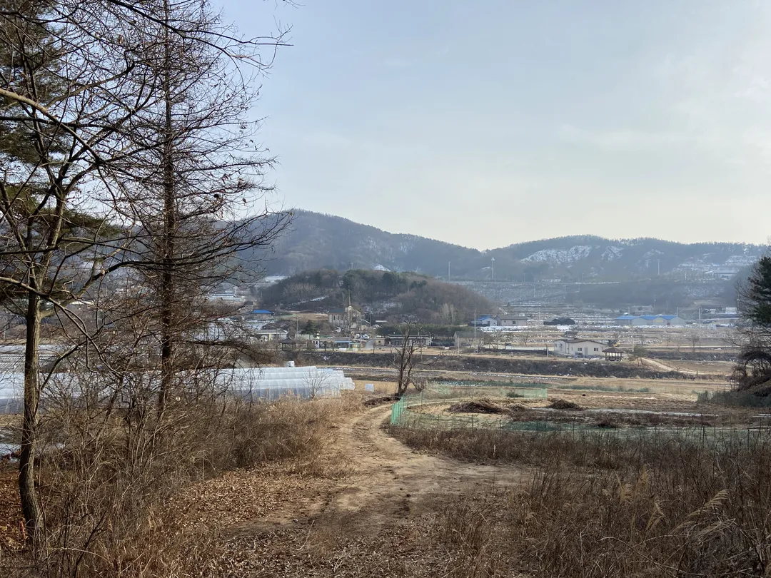단석리산촌생태마을