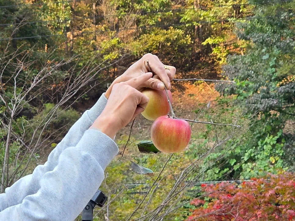 재오개산촌마을