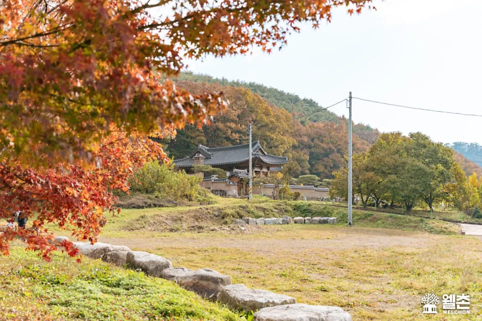 세심마을 사진 9
