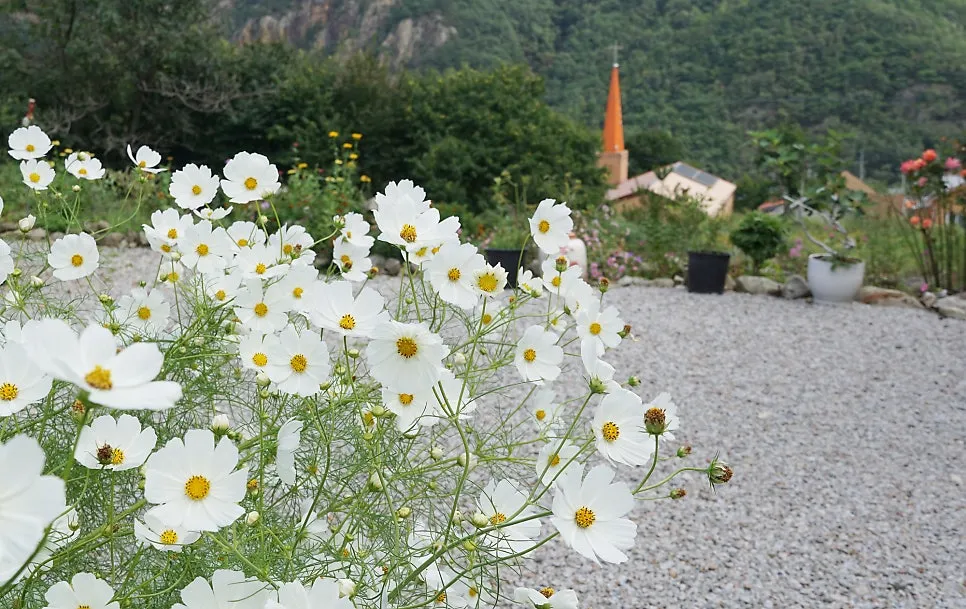 구병마을 사진 7