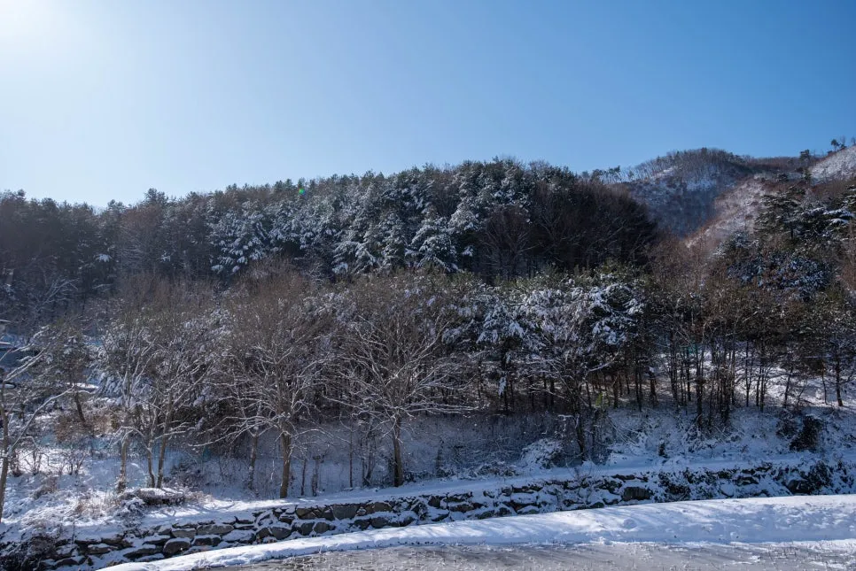보련마을