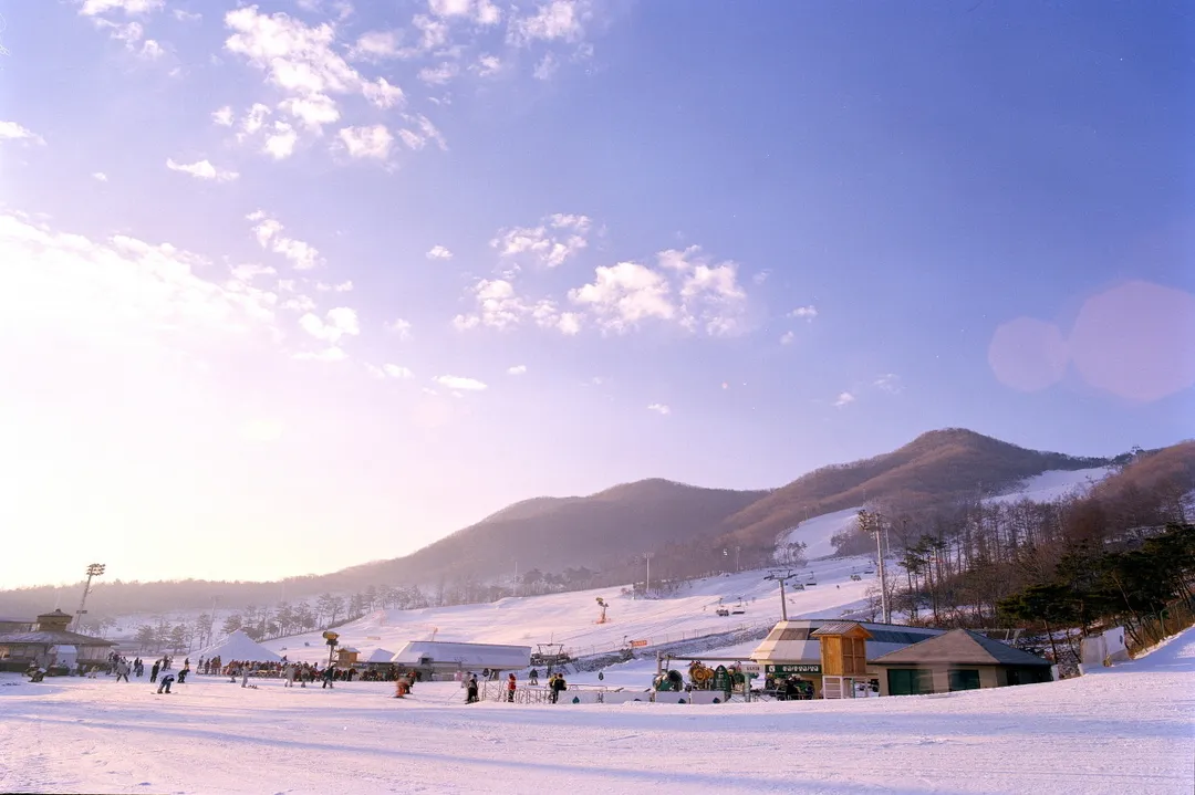 지산포레스트리조트 스키장 사진 6