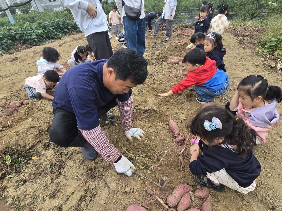 장수마을