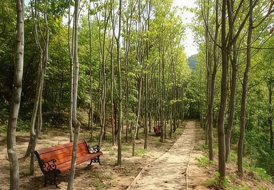 석산약바람산촌생태마을 사진 6